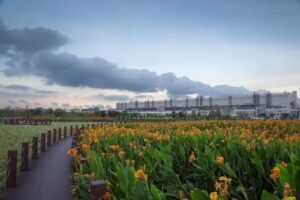 TCL ist ein „Macher“: Die Einbindung von ESG schafft positive Wirkung entlang der globalen Wertschöpfungskette